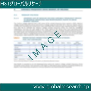 グローバルリサーチ調査レポートのイメージ